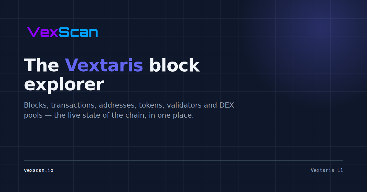VexScan website preview